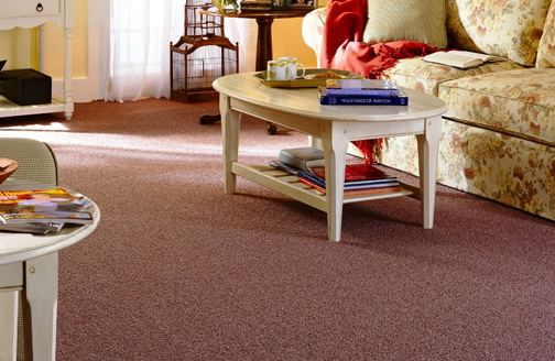 Carpet Browse Floors