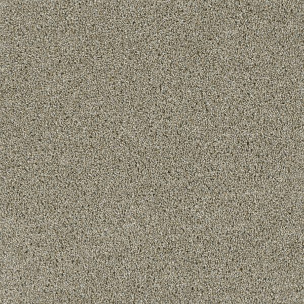 Engineered Floors Acclaim Rhinestone  Carpet Sample