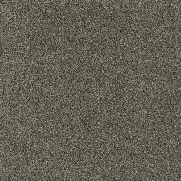 Engineered Floors Acclaim Midnight Shadow Carpet Sample