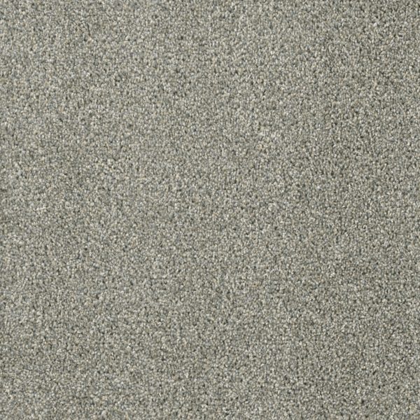 Engineered Floors Acclaim Sandy Trail Carpet Sample