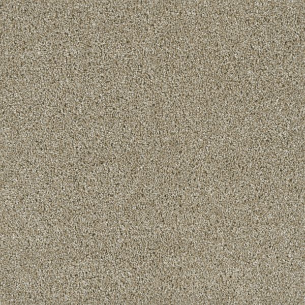 Engineered Floors Acclaim Outback  Carpet Sample