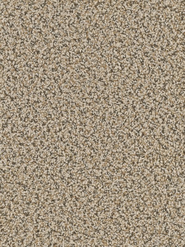 Engineered Floors Cherry Creek Sahara Sands Carpet Sample