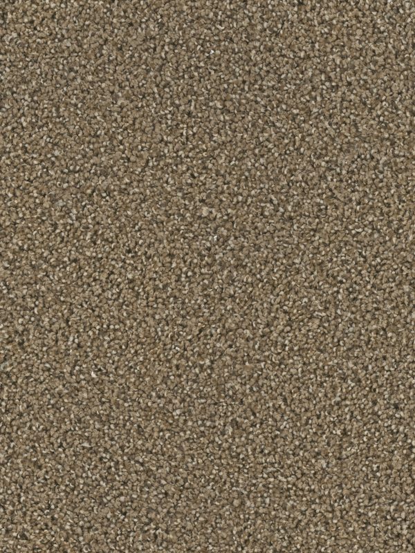 Engineered Floors Cherry Creek Boulder  Carpet Sample