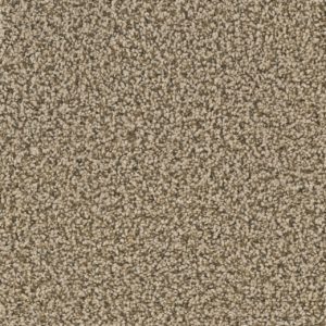 Engineered Floors Cherry Creek Bronzite  Carpet Sample