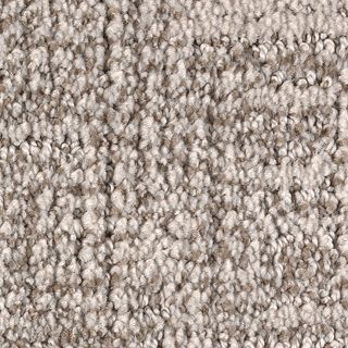 Karastan Artistic Charm Brushed Nickel Carpet Sample
