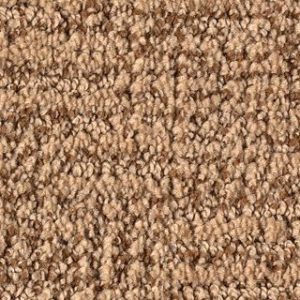 Karastan Artistic Charm Cedar Shingles Carpet Sample