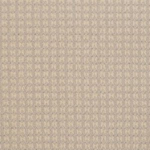 Dixie Home Steadfast New Oyster Carpet Sample