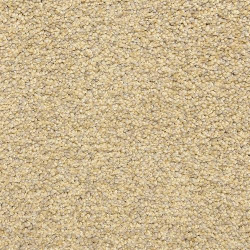 Dixie Home Colorworks Sand Storm Carpet Sample
