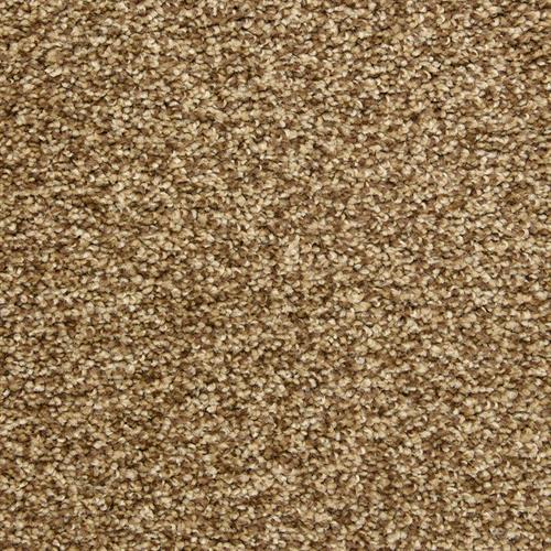 Dixie Home Colorworks High Point Carpet Sample