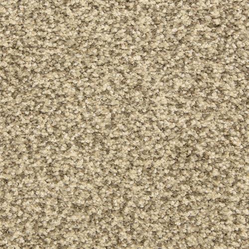 Dixie Home Colorworks Grey Scale Carpet Sample