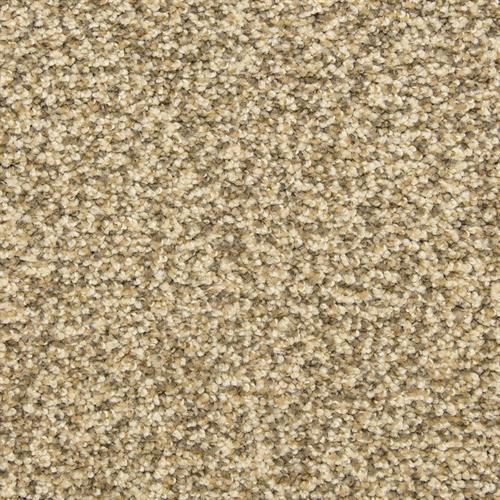 Dixie Home Colorworks Mill Stone Carpet Sample