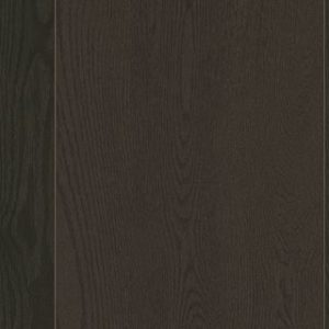 Karastan Refined Forest Onyx Floor Sample