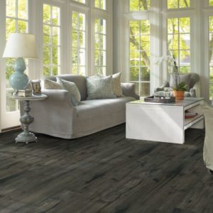 Shaw Floors Repel Room Scene With Midnight Hickory Floor Sample On It