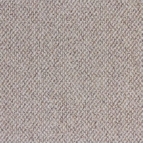 Southwind Cambridge II Sorrell Carpet Sample
