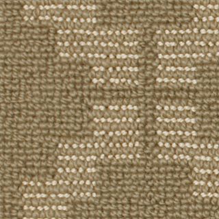 Karastan Barreta Aria Carpet Sample