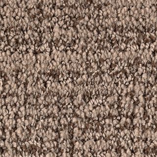 Karastan Artistic Charm Dark Taupe Carpet Sample