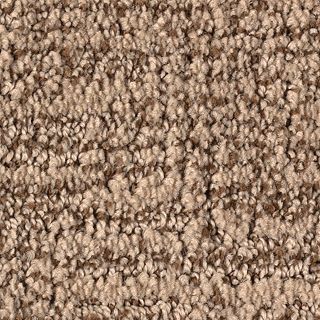 Karastan Artistic Charm Driftwood Carpet Sample