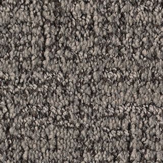 Karastan Artistic Charm Evening Shadow Carpet Sample