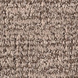 Karastan Artistic Charm Mineral Grey Carpet Sample