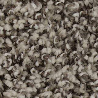 Mohawk Flooring Exquisite Accent Misty Morn Carpet Sample