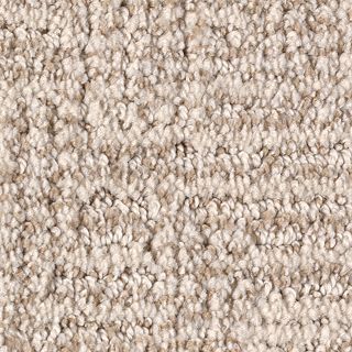 Karastan Artistic Charm Morning Mist Carpet Sample