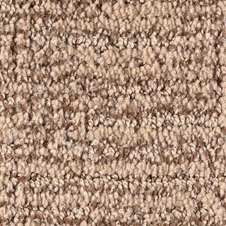 Karastan Artistic Charm Mushroom Carpet Sample