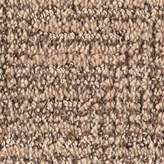 Karastan Artistic Charm Oyster Shell Carpet Sample