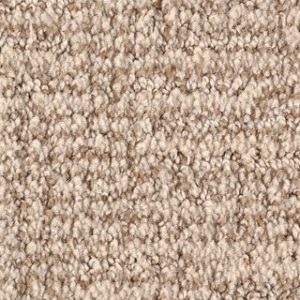 Karastan Artistic Charm Sandstone Carpet Sample