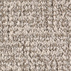 Karastan Artistic Charm Silver Lining Carpet Sample