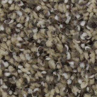 Mohawk Flooring Exquisite Accent Timeless Carpet Sample