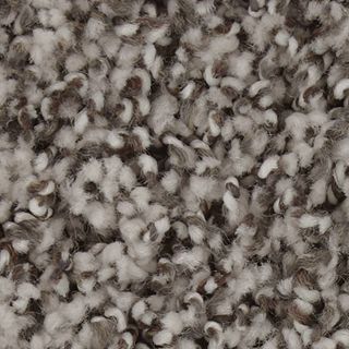 Mohawk Flooring Exquisite Accent White Wash Carpet Sample