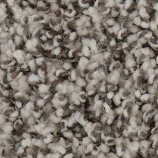 Mohawk Flooring Exquisite Accent Winter Ash Carpet Sample