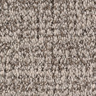 Karastan Artistic Charm Winter Haven Carpet Sample