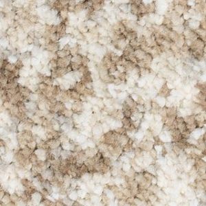 Karastan Bradenburg Brownstone Carpet Sample