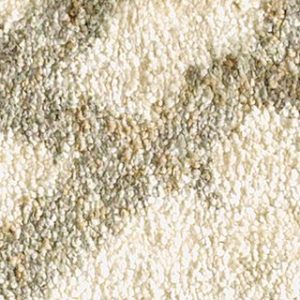 Karastan Ashland Destiny Carpet Sample