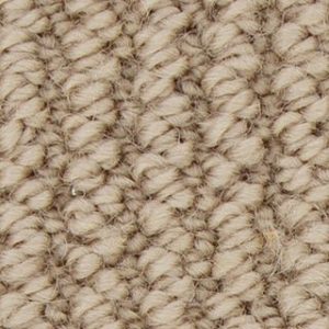Karastan Braided Charm Haven Carpet Sample