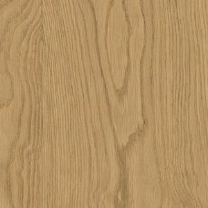 Karastan  Ashmore Natural Floor Sample