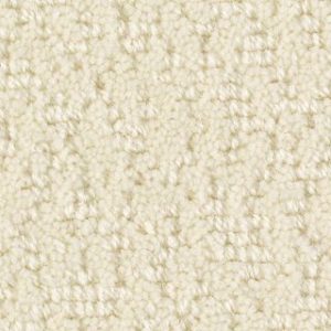 Karastan Astor Row Fleece Carpet Sample