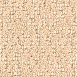 Karastan Astor Row Willow Oak Carpet Sample