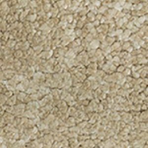 Karastan Berekely Natural Carpet Sample