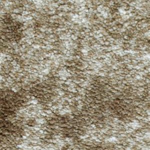 Karastan Berekely Brownstone Carpet Sample