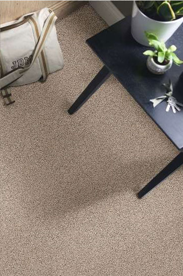 Browse Carpet Floors